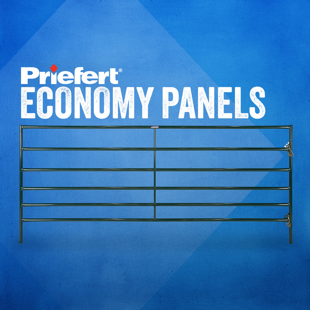 EconomyPanels.jpg