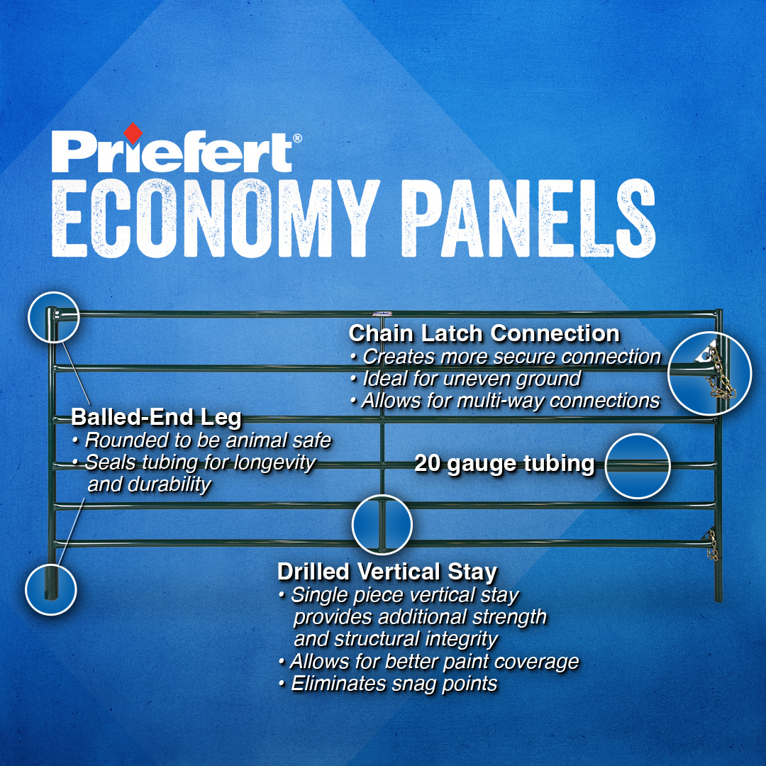 EconomyPanels Features.jpg