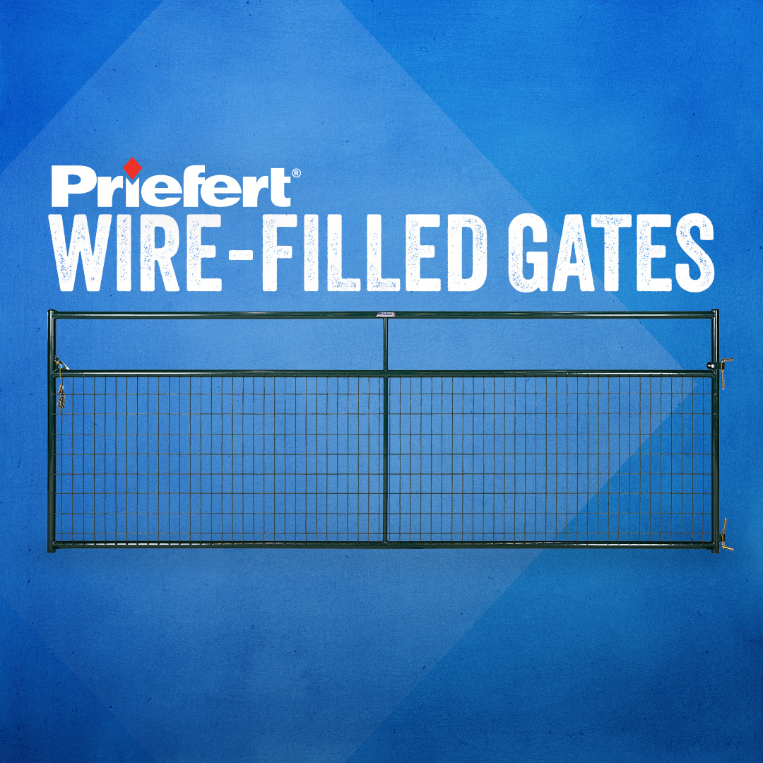 Wire FilledGates.jpg