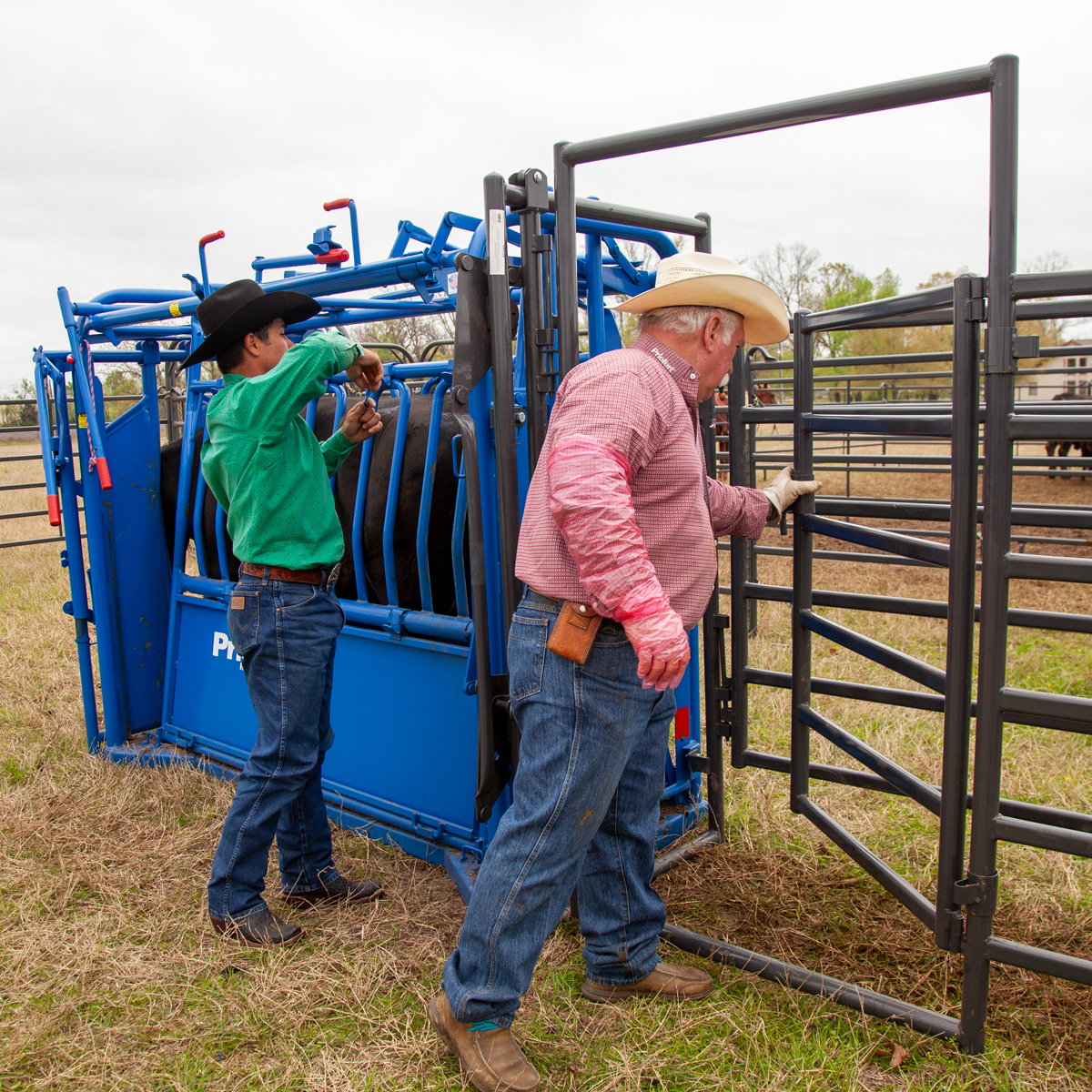 Priefert Preg Panel.jpg