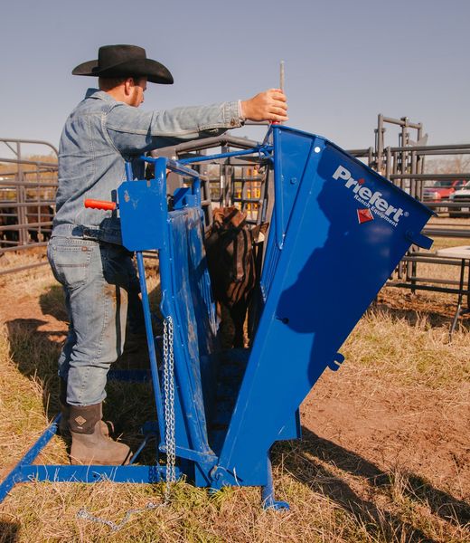 Priefert Calf Table.jpg