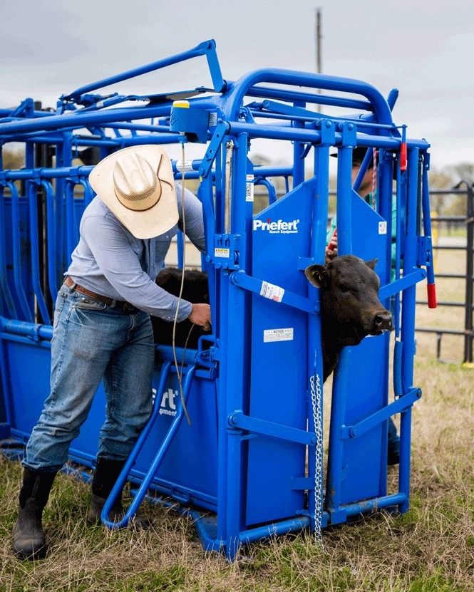 Priefert S04 Squeeze Chute Calf Web.jpg