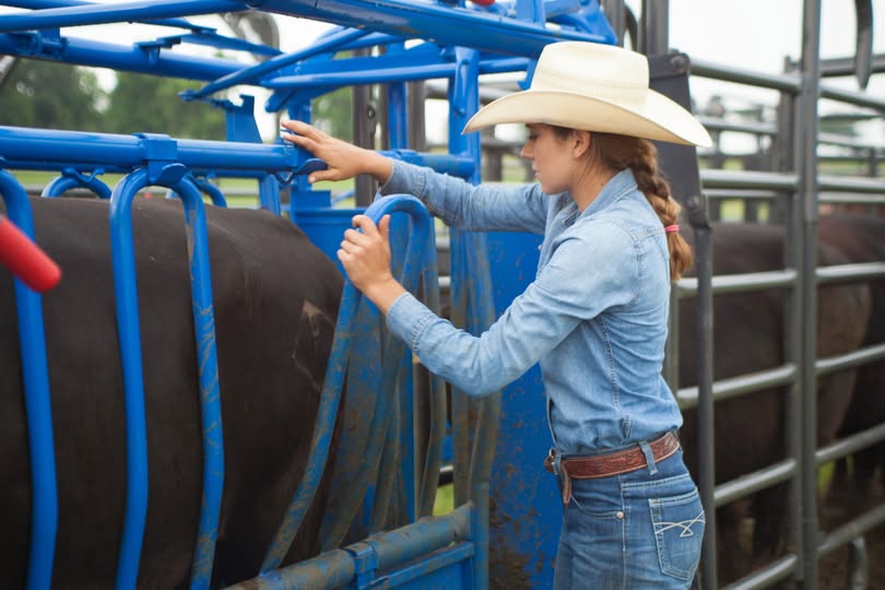 Priefert S04 Squeeze Chute Drop Bar Web.jpg