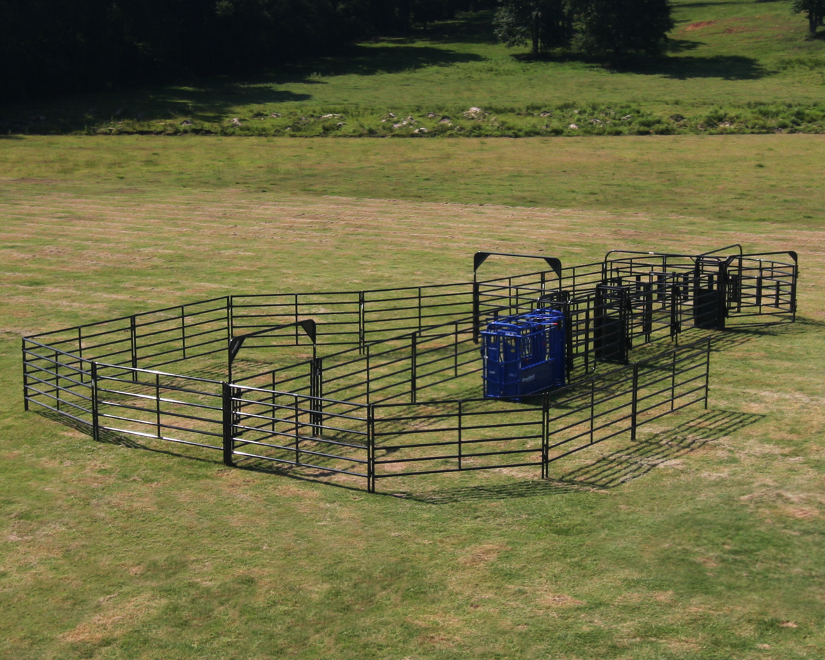 Rough Stock Corral RSOS 1 03.png