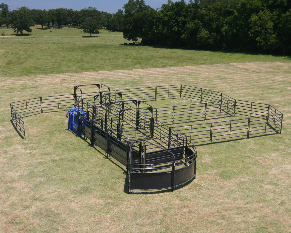 Solid Corral SSCS 2 01.png