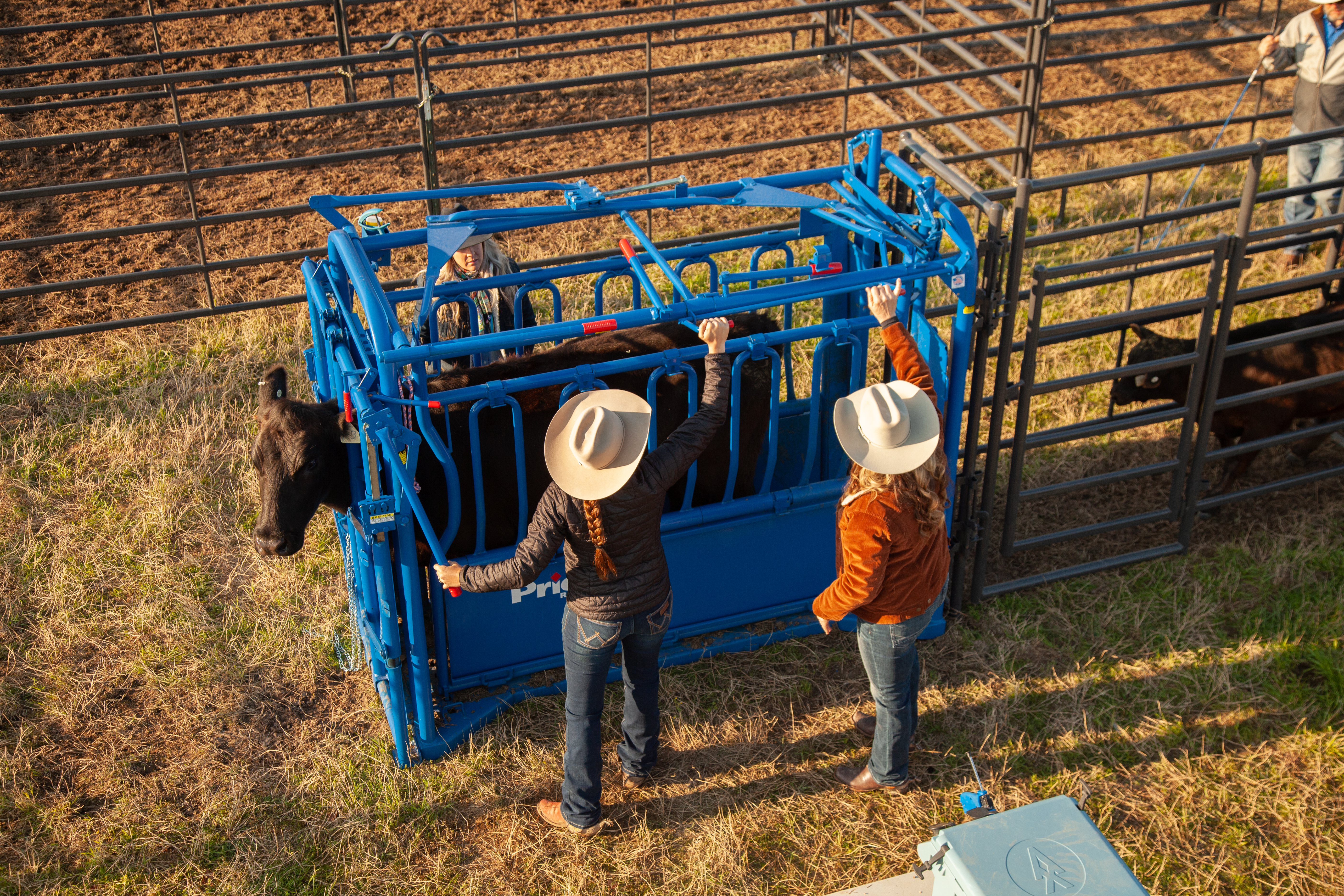 Squeeze Chute S04 Lari Dee Guy Mesa Pate 0122.jpg