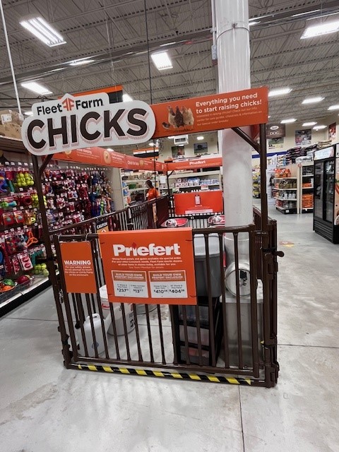Chick Disply SheepHogGoat Fleet Farm Mar2024 2.jpg