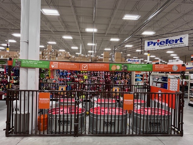 Chick Disply SheepHogGoat Fleet Farm Mar2024 3.jpg