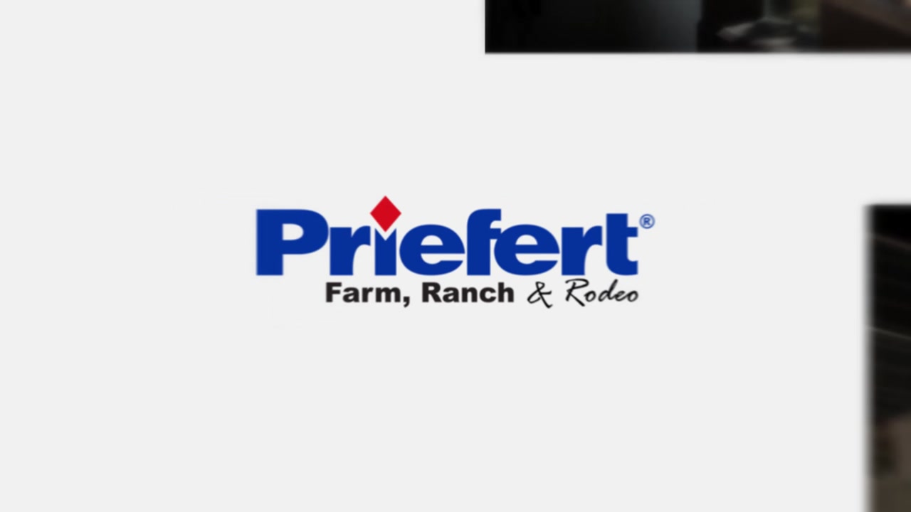 PriefertizationPromo2014.mp4