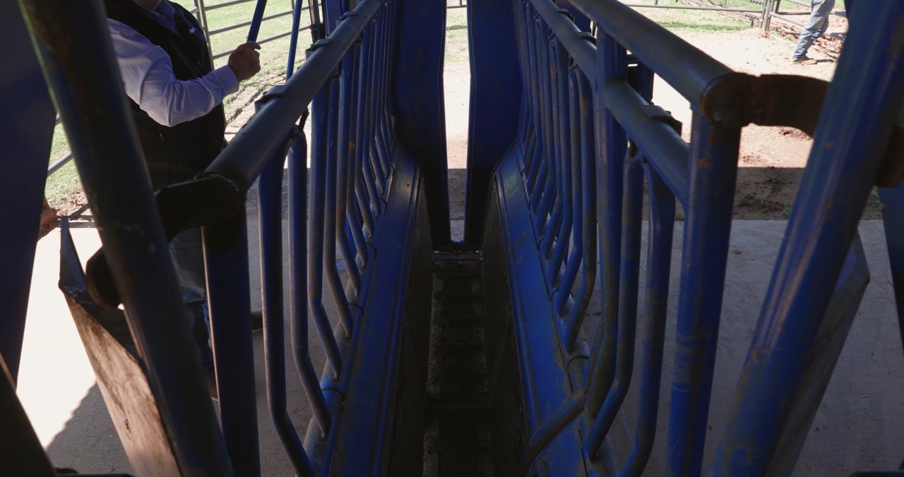 SC25 Squeeze Chute Commercial Priefert.mp4