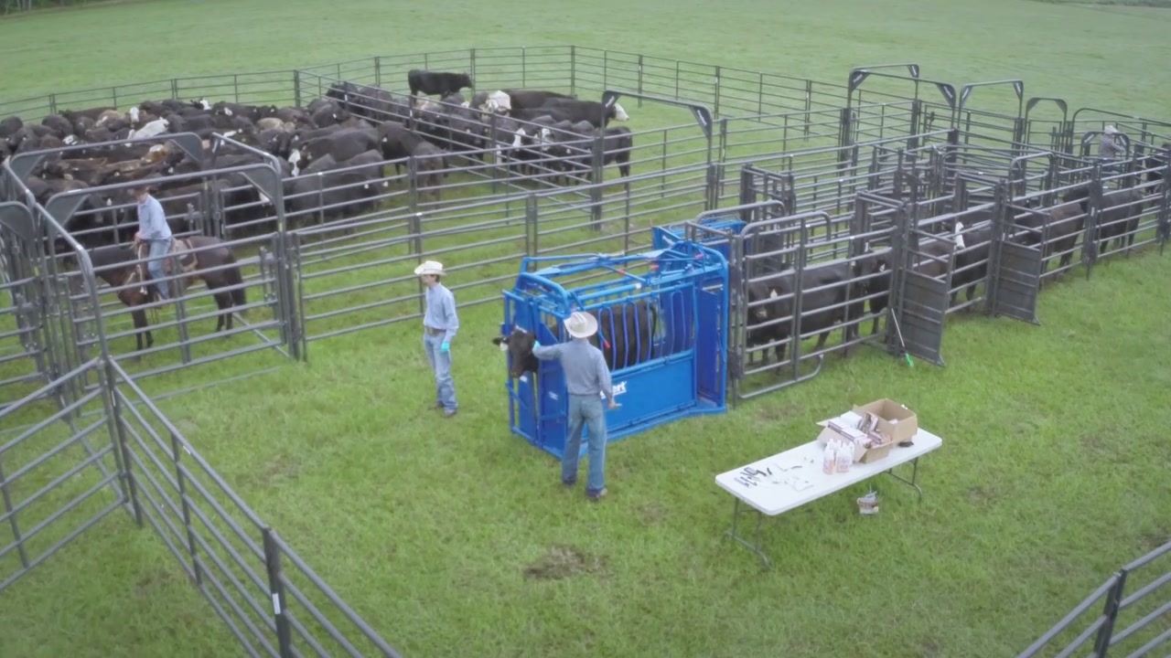 Squeeze Chute.mp4